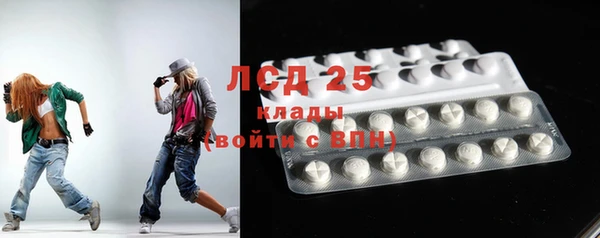 гашик Сатка
