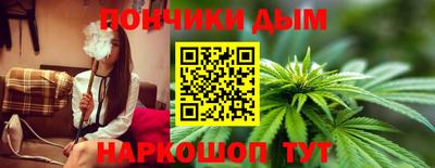 сатива Кингисепп