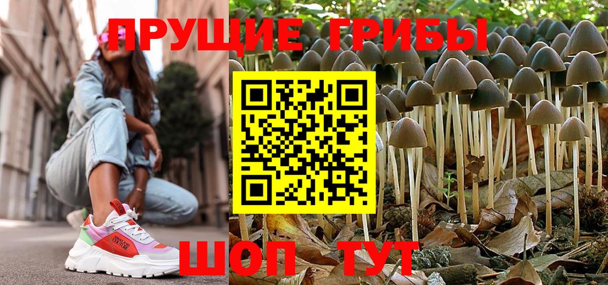 Псилоцибиновые грибы ЛСД Краснодар