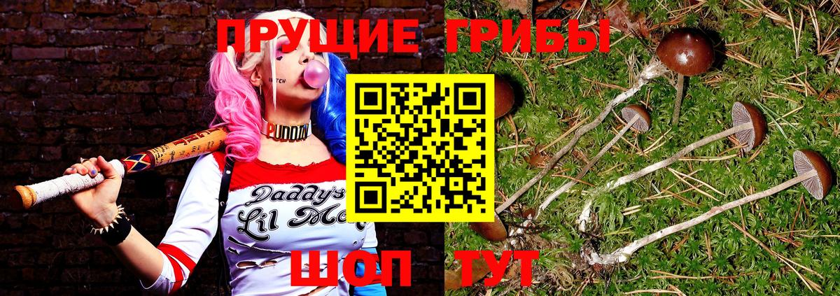 Галлюциногенные грибы Psilocybe  Краснодар  Галлюциногенные грибы MAGIC MUSHROOMS 